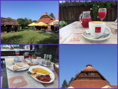 101 Next morning, Breakfast all local and fresh